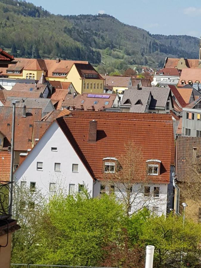 Ferienwohnungen Albstadt Kültér fotó